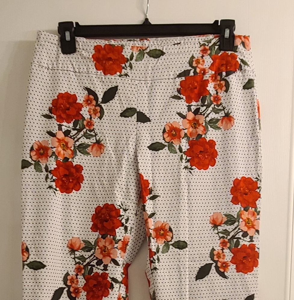 Zac & Rachel Floral Polka Dot Pull-On Ankle Capri Pants size 14